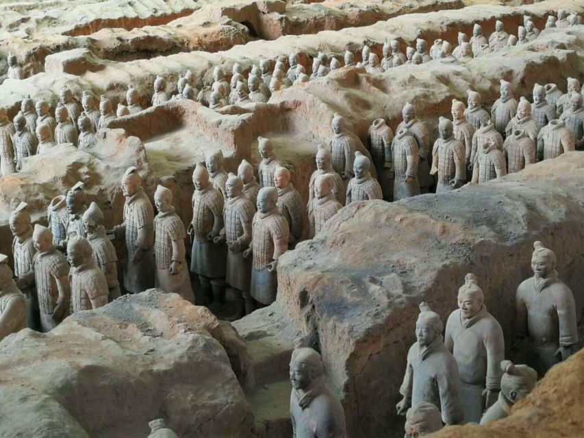 Virtual Terracotta Warriors Museum Live Tour - Common questions