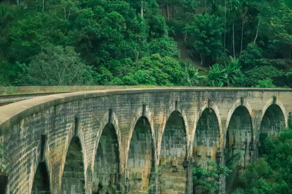 Visit Nine Arch Bridge,Ravana & Diyaluma Falls,Safari - Free Cancellation Policy