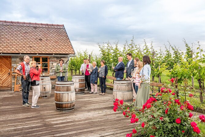 Wachau Valley Vines: A Culinary and Cultural Private Experience - Last Words
