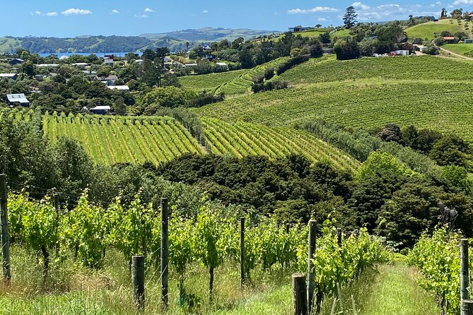 Waiheke Island: Sip & Savour Tour - Pricing Details