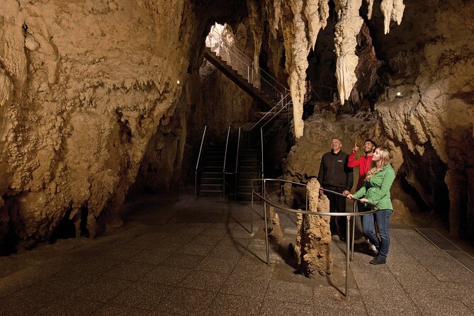 Waitomo Glowworm Cave Experience - Small Group Tour From Auckland - Common questions