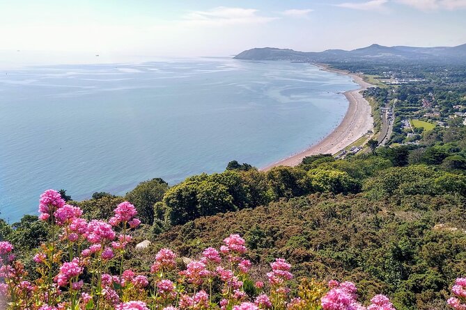 Walking Tour and Railway Ride of Scenic Coastal Dublin - Last Words