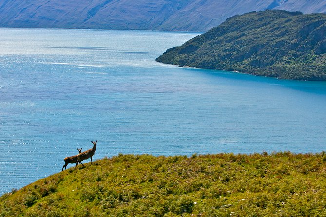 Wanaka High Country Walk - Last Words