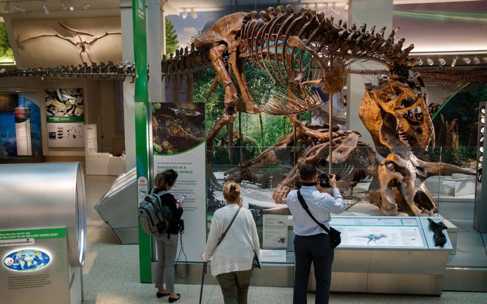 Washington DC: Museum of Natural History Private Guided Tour - Tour Duration and Pricing