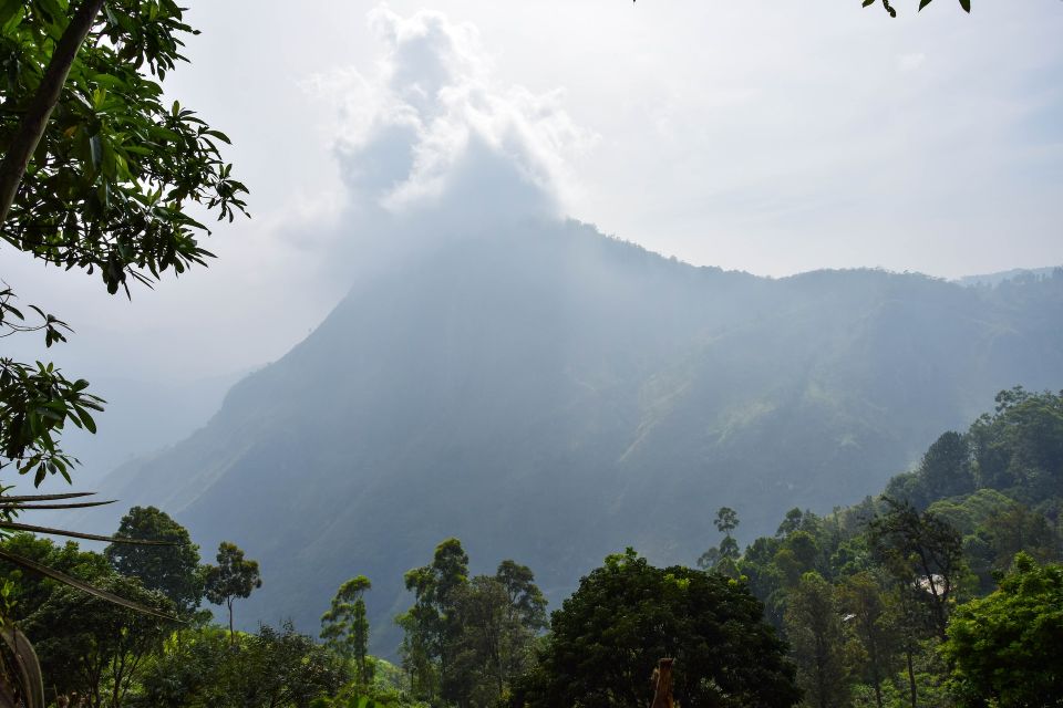 Waterfall Abseiling in Kitulgala - Common questions