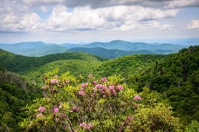 Waterfalls and Blue Ridge Parkway Hiking Tour With Expert Naturalist - The Wrap Up