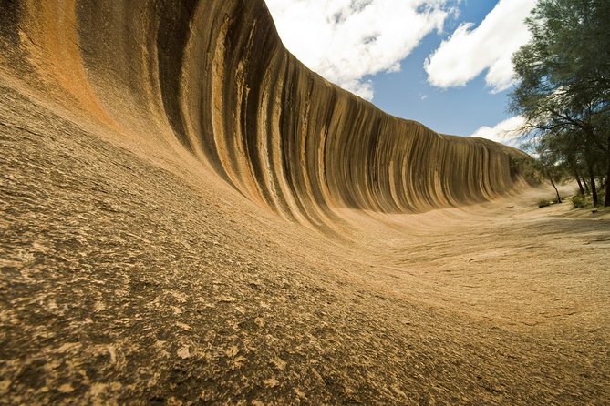 Wave Rock, York, Wildflowers, and Aboriginal Cultural Day Tour From Perth - Wildflower Season