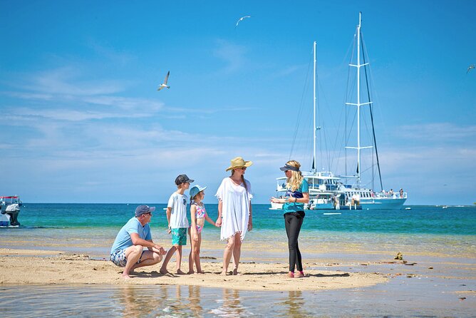 Wavedancer Low Isles Great Barrier Reef Sailing Cruise From Palm Cove - Reviews and Ratings Summary