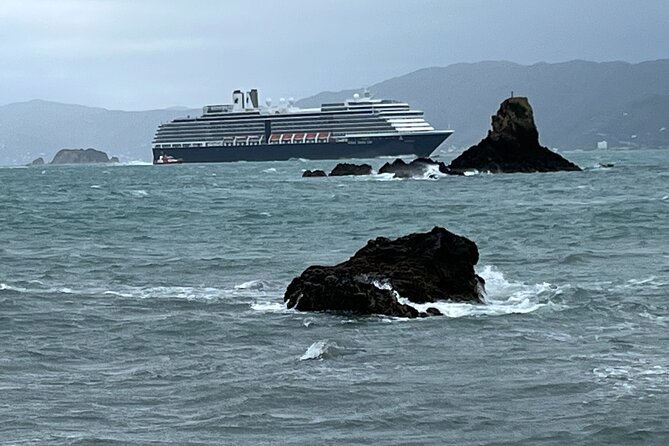 Wellington Half Day Private Tour in Electric Tesla SUV - Booking Information