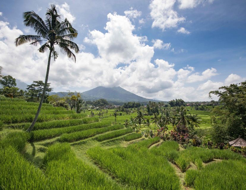 West Bali: Jatiluwih Rice Terrace and Tanah Lot Sunset Tour - Itinerary Overview