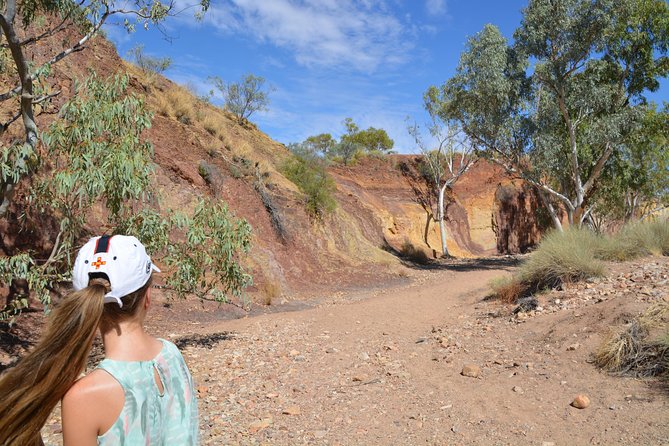 West MacDonnell Ranges Small-Group Full-Day Guided Tour - Common questions