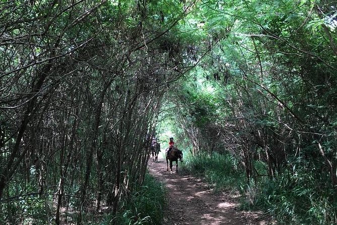 West Maui Mountain Waterfall and Ocean Tour via Horseback - Refreshments and Equipment