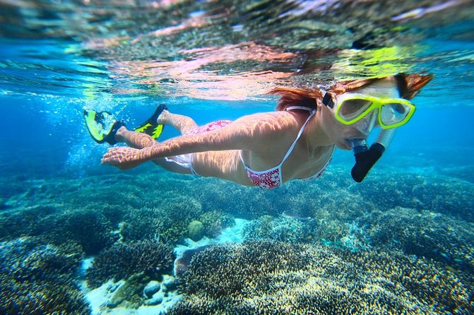 West Oahu Hawaiian Green Sea Turtle, Dolphin Snorkel Sail W Lunch - Directions