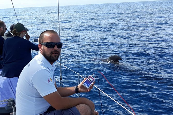 Whale and Dolphin Watching Sailing Boat With Drinks, Snacks and Swimming Time - Last Words