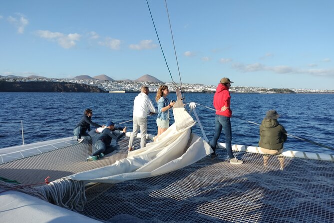 Whale & Dolphin Observation on Silent Catamaran With Hydrophone - Review and Rating Process