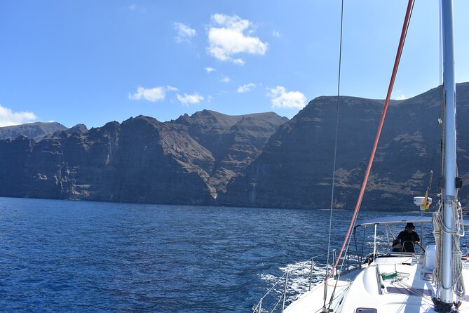 Whale Watching in Los Gigantes for Over 11 Years - Customer Support