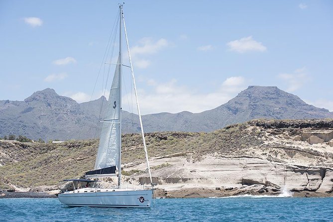 Whales & Dolphins Watching in Exclusive Sailboat - Directions