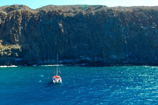 Whales Listening Eco-Catamaran Tour With Food Tasting - Common questions