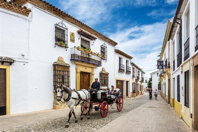 White Villages and Ronda Day Trip From Seville - Last Words