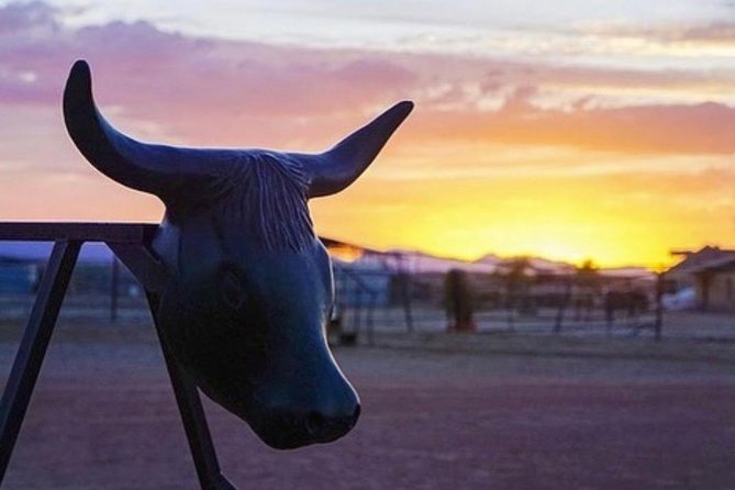 Wild West Sunset Horseback Ride With Dinner From Las Vegas - Overall Experience and Recommendations