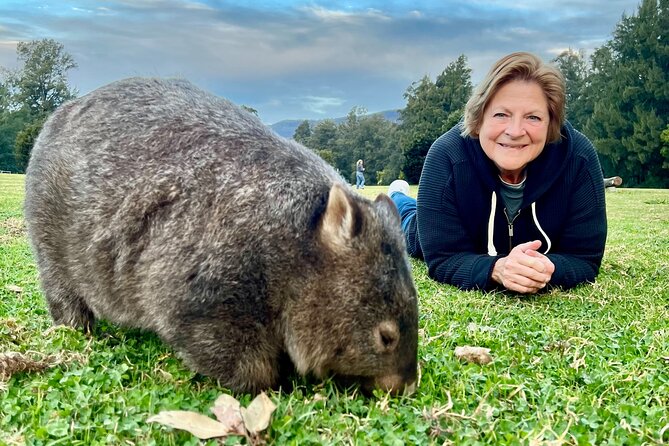 Wild Wombat and Kangaroo Day Tour From Sydney - Memorable Experiences