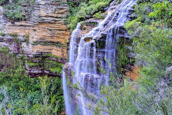 Wilderness, Waterfalls, Three Sisters BLUE MOUNTAINS PRIVATE TOUR - Overall Tour Experience and Recommendations