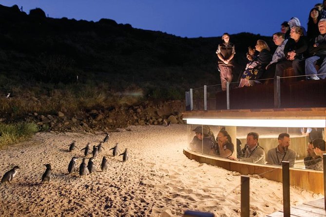 Wilsons Promontory & Phillip Island - Prom & Penguins Tour - Pricing and Booking