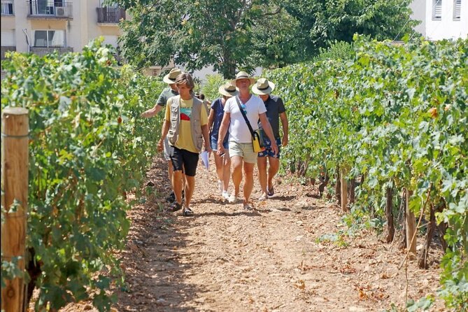 Wine Tasting Tour & Paella Cooking Class in Sitges.