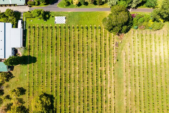 Wine Tasting Tour to Tamborine Mountain - Additional Details