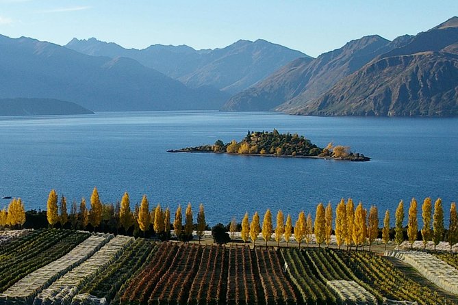 Wine Tour With Wine Tasting From Wanaka - Memorable Tour Highlights