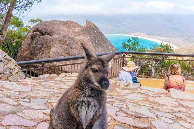 Wineglass Bay & Freycinet NP Full Day Tour From Hobart via Richmond Village - Tour Pricing and Details