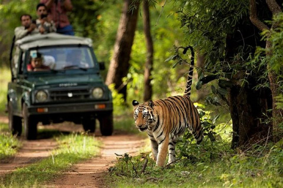 Wonders of Wildlife: 4-Day Chitwan National Park Tour - Inclusions Package Details