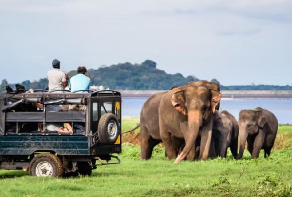 Yala All Inclusive Safari Tour With Free Entrance and Food - Common questions