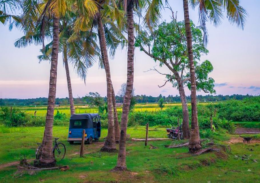 Yala: Village Tuk-Tuk Tour With Curd Making & Pottery Demo - Last Words