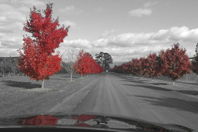 Yarra Valley Exceptional - Private Day Tour - for 2 - With Lunch - Common questions