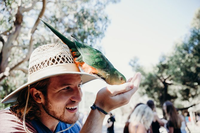 Yarra Valley Quality Wine Tour: Chandon, Dominque Portet Gin - Guided Tour Details