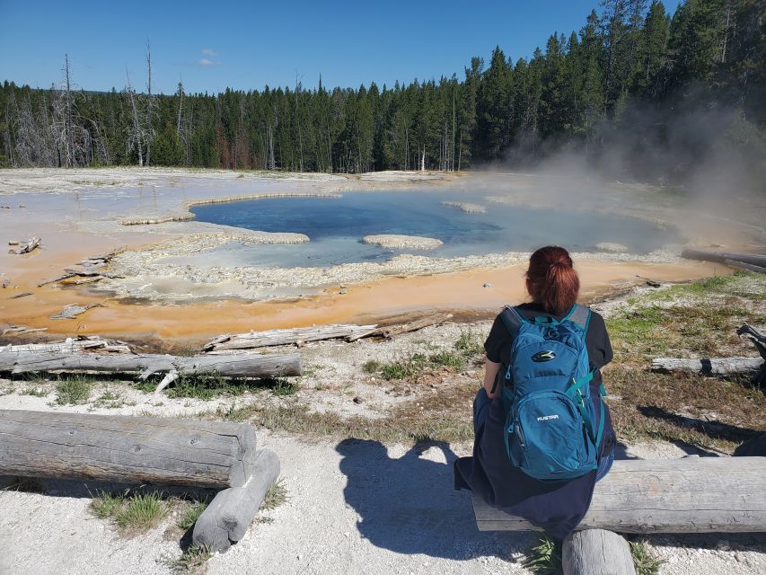 Yellowstone: Upper Geyser Basin Hike With Lunch - Common questions