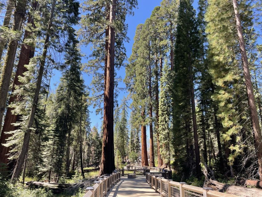 Yosemite, Giant Sequoias, Private Tour From San Francisco - Directions
