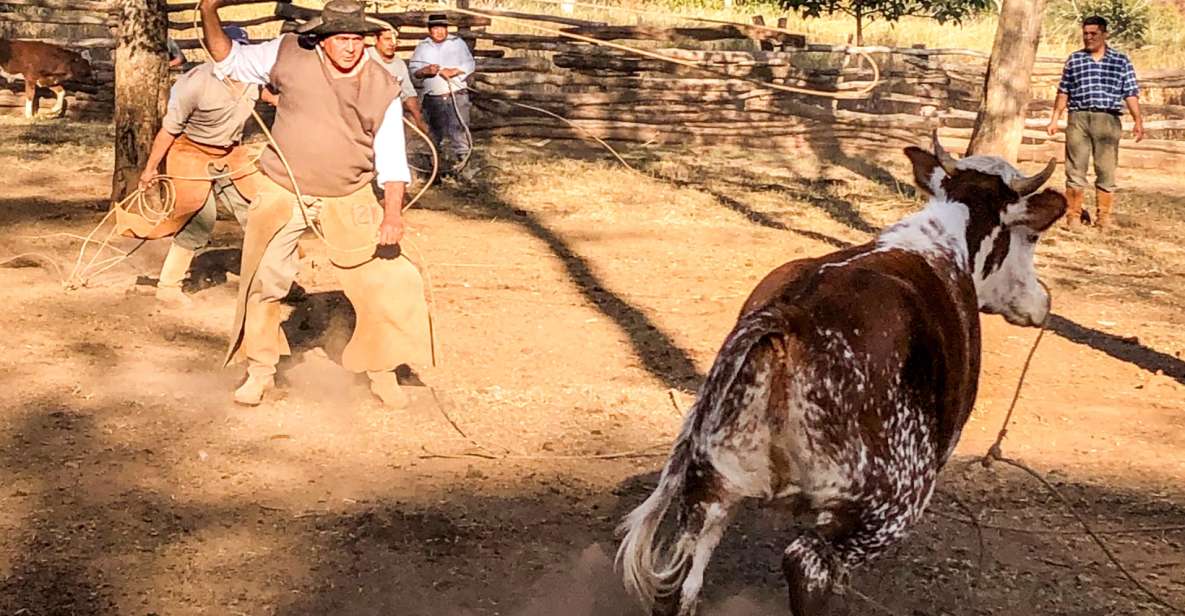 Yungas : Full Day With Gauchos - Transfer Inc. From Salta - Horse Care and Personalized Experiences