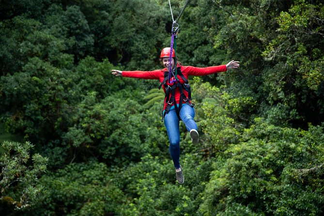 Ziplining Forest Adventure - The Original Canopy Tour Rotorua - Guest Experiences