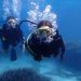 1 mallorca try scuba diving in a beautiful nature reserve Mallorca: Try Scuba Diving in a Beautiful Nature Reserve