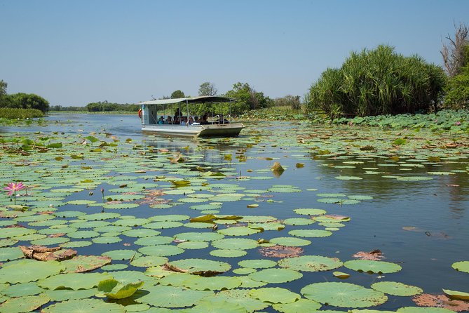 1 Day Corroboree Billabong Wetland Experience Including 2.5 Hour Cruise Lunch - Return Trip to Darwin