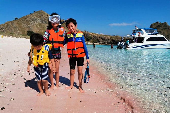 1 Day Komodo Trip By Shared Luxury Fast Boat - Luxury Fast Boat Details