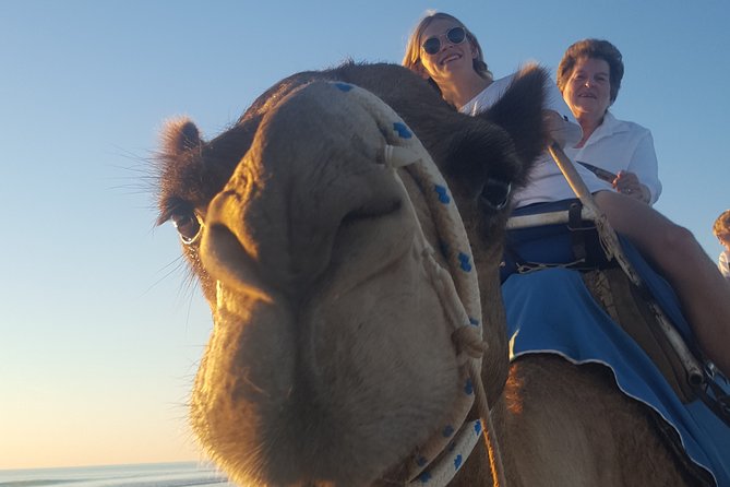 1 Hour Broome Sunset Camel Tour - Common questions