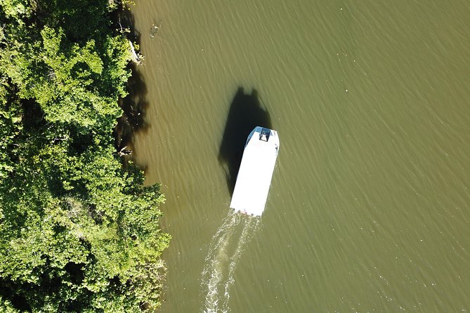 1-Hour Daintree River Wildlife Cruise - Last Words