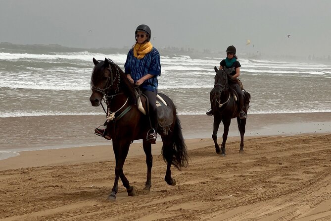 1 Hour Horse Ride on the Beach of Essaouira - Last Words