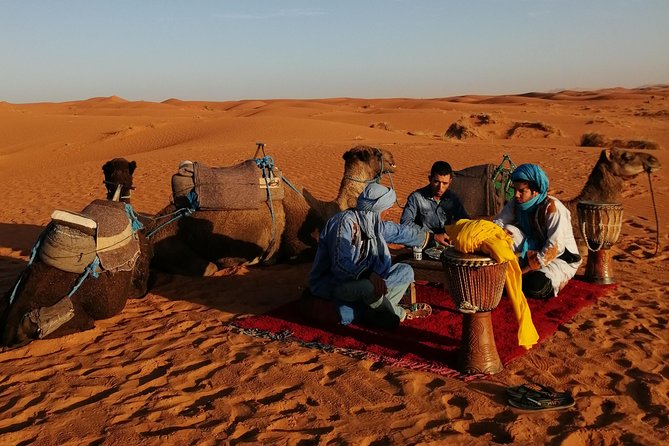 1 Night Camel Trekking Tour in Merzouga Desert Camp - Common questions
