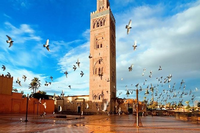 10 Days Tour From Casablanca, Morocco - Customer Support Information