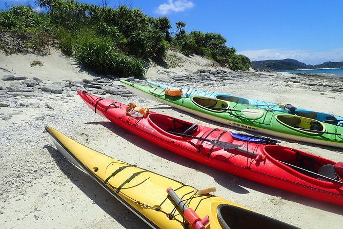 1day Kayak Tour in Kerama Islands and Zamami Island - Reviews and Feedback