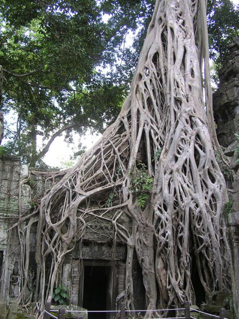 2 Days Angkor Wat, Bayon, Banteay Srey & Beng Mealea - Common questions